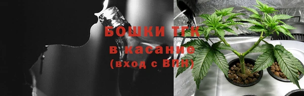 прущие крисы Елабуга