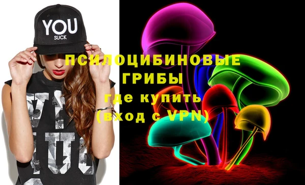 марки nbome Ельня