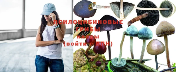 прущие крисы Елабуга