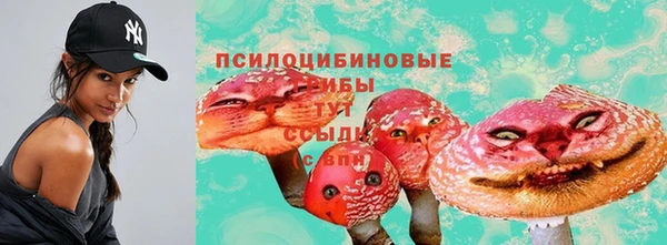 марки nbome Ельня