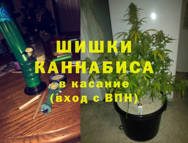 прущие крисы Елабуга
