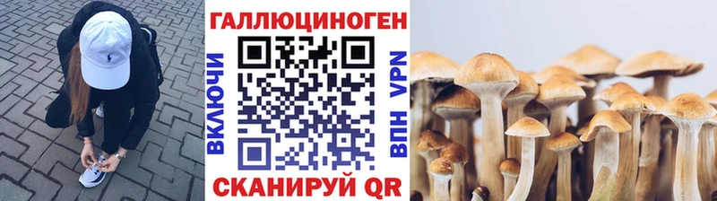Купить закладки  Можайск  Галлюциногенные грибы ЛСД 
